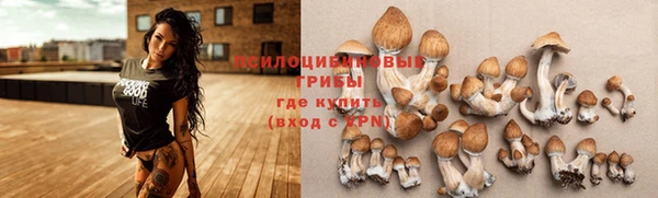 а пвп мука Армянск