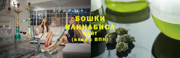 прущие грибы Надым