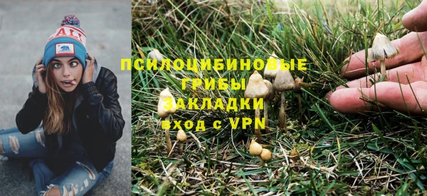 а пвп мука Армянск