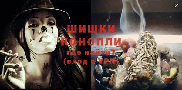 индика Мегион