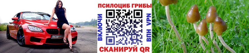 Галлюциногенные грибы ЛСД Дедовск