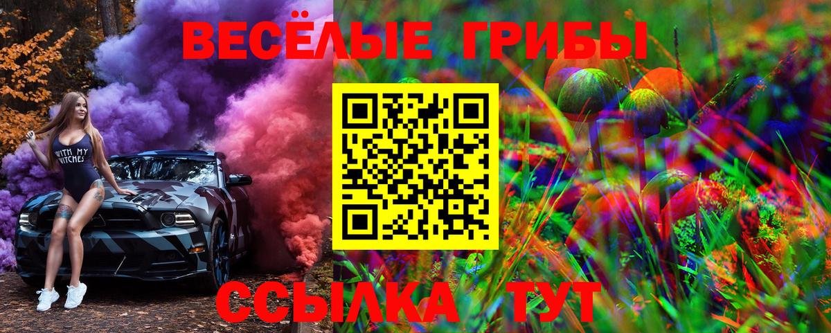 Галлюциногенные грибы MAGIC MUSHROOMS  Галлюциногенные грибы MAGIC MUSHROOMS  Вход с VPN  Дедовск 